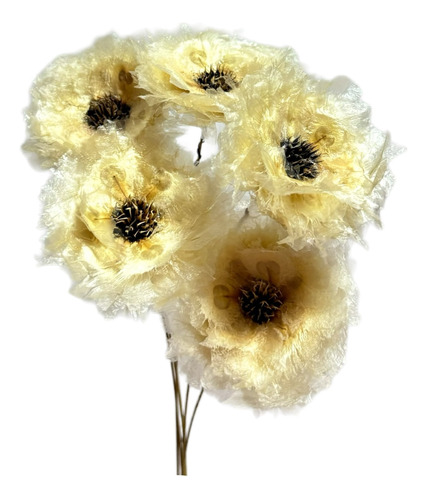 Flores Preservadas Ramo Anemona Manualidades Decoraciones 