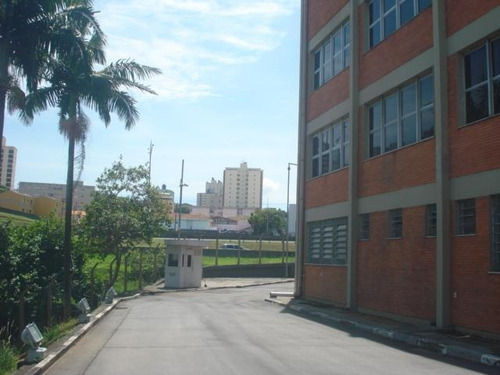 Imagem 4 de 30 de Galpão Para Aluguel, 50 Vagas, Paulicéia - São Bernardo Do Campo/sp - 8531