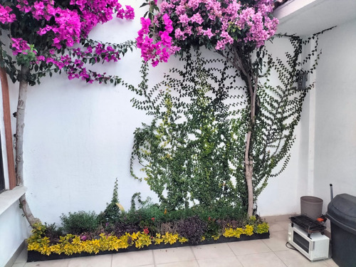 Se Vende Casa En Fraccionamiento Los Arcos En Excelente Ubicación Calle Con Parque Área Verde De Ambos Lados,