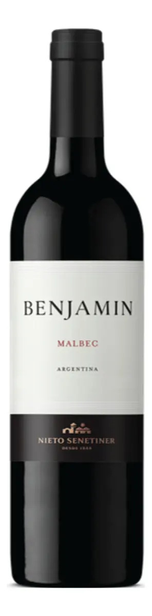 Vinho Argentino Tinto Benjamin Nieto Malbec 750ml