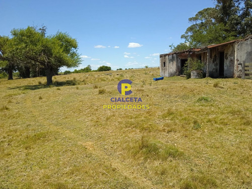 23 Hectáreas En Lavalleja Con Arroyo