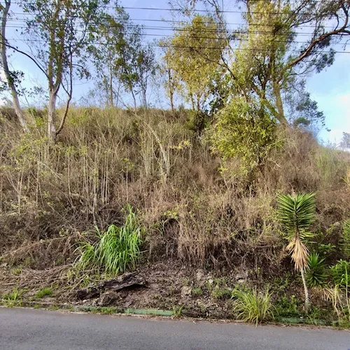 Colinas De Carrizal