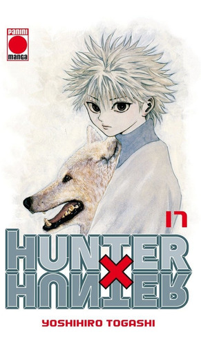 Hunter X Hunter 17, De Togashi Yoshihi. Editorial Paninimanga, Tapa Blanda En Español