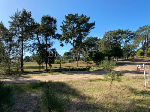 Imagen 4 de 16 de Hermoso Terreno, Zona Golf. Villa Gesell