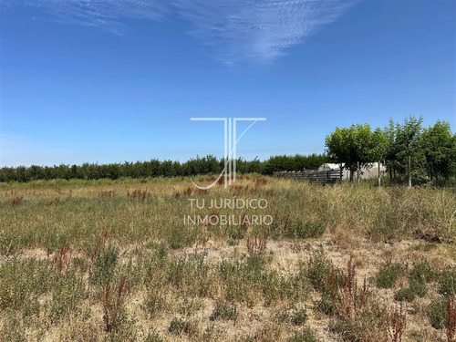 Hermosa Parcela De 7.050 Mts2 En Venta En La Comuna De Buin