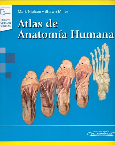 Nielsen Atlas De Anatomia Humana