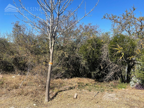 Estancia Q2 Terreno