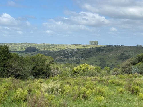 Imagen 21 de 30 de 7 Chacras De 5 Has Cada Una A 20 Km De Aigua Por Ruta 39 - Consulte !!!!!