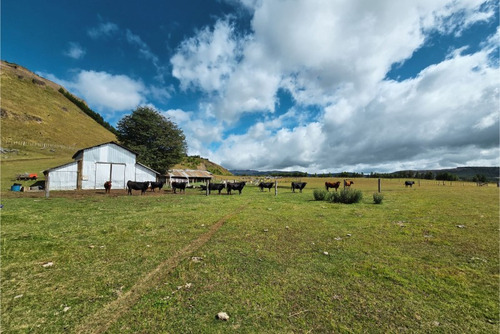Se Vende Campo De 60 Hectáreas En El Sector Lago Pollux