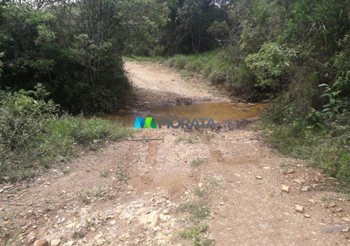 Imagem 7 de 7 de Fazenda - Zona Rural - Ref: 4604 - V-mta4604