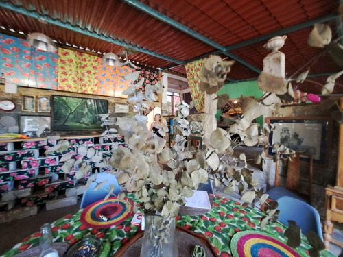 Cabañas Ecológicas En Renta Diseñadas Para Nómadas Digitales - Con Servicios Y Casa Club - Cerca De La Playa