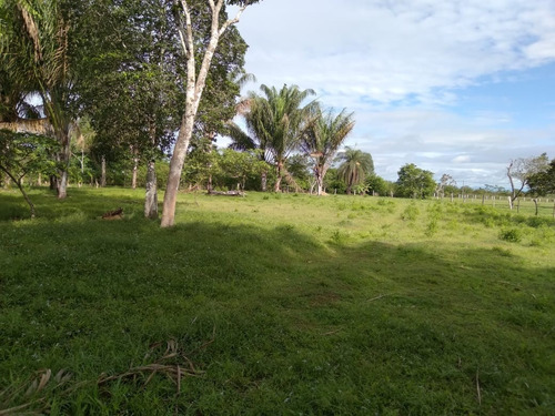 Imagen 4 de 12 de Venta/permuta Finca San Martin Meta