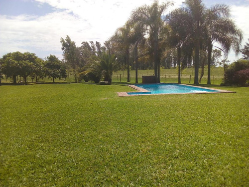 Imagen 4 de 27 de Campo - Uruguay