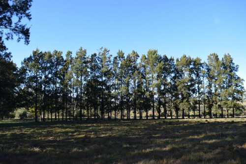 Venta Chacra Ruta 60 Maldonado Pan De Azucar Cerro Betete