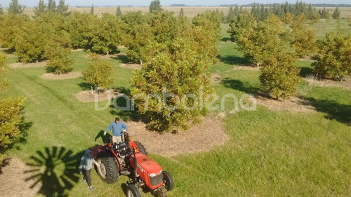 Imagen 20 de 25 de Terreno Campo En Venta Ubicado En Punta Indio, Resto De La Provincia