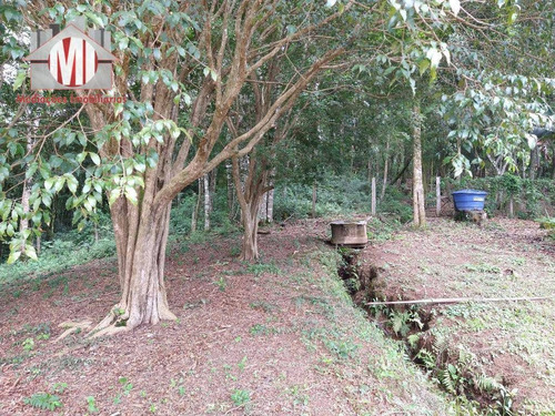 Imagem 12 de 23 de Ótima Chácara Com 3 Dormitórios, Córrego, Pomar, Excelente Localização, À Venda, 3000 M² Por R$ 215.000 - Zona Rural - Pinhalzinho/sp - Ch0848