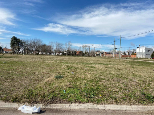 Imagen 3 de 10 de Lotes En Venta En Nuevo Lorenzo.