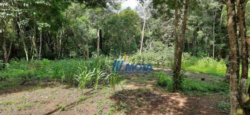 Área A Venda Em Piraquara Com 22.023,83 M2 Para Formar Chácara, Casa De Campo E Outras Finalidades - Ch0204