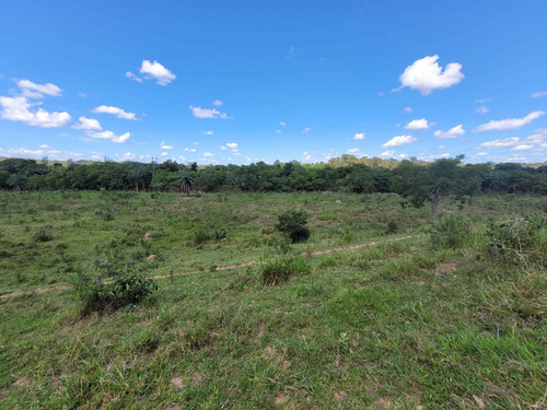 Imagem 6 de 30 de Chácara Em Centro, Martinho Campos/mg De 750m² 1 Quartos À Venda Por R$ 60.000,00 - Ch2330369-s
