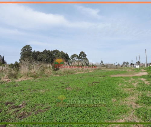 Imagen 7 de 18 de Chacra 3 Has En Venta, Melilla, Cerca De La Uam