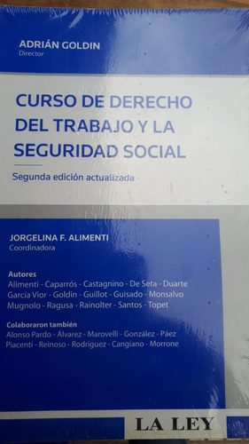 Goldin Curso De Derecho Del Trabajo Y La Seguridad Social