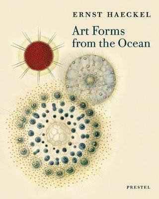 Art Forms From The Ocean: The Radiolarian Prints Of Ernst...