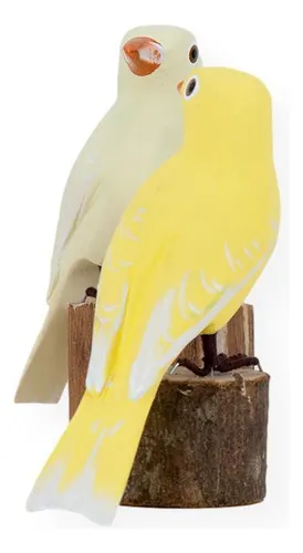 Aves de Madeira: pareja de canarios (21a7)