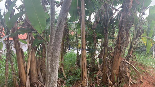 Terreno À Venda, 480 M² Por R$ 310.000,00 - Jardim Sorirama (sousas) - Campinas/sp - Te0990