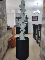 Comprar Aeropónico Hidropónico Hidroponía Plantas Flores Semillas