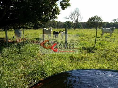 Chácara À Venda, 44719 M² Por R$ 330.000,00 - Jardim Bom Jesus - Jales/sp - Ch0031