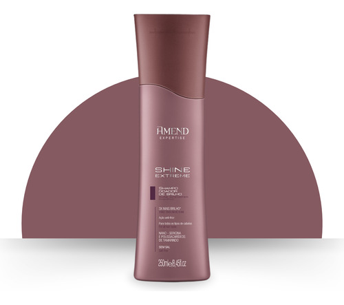 Amend Kit Shampoo E Leave-in Shine Extreme Doador De Brilho