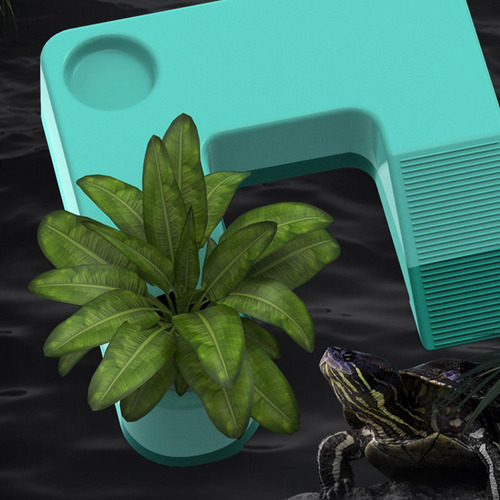 De Para Tortugas Con Rampa Para Reptiles De Para Tortugas