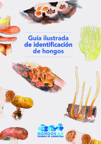 Guia Ilustrada De Identificación De Hongos