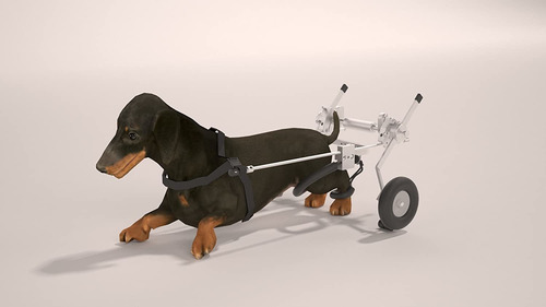 Imagen 3 de 6 de Perro Sitgo Revolucion Silla De Ruedas Para Mascotas