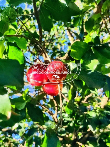 Imagem 13 de 30 de Linda Chácara No Bairro Dois Córregos (código Ch00053) - Ch00053 - 70640034