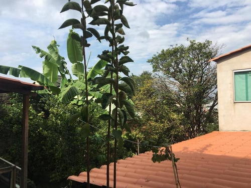 Imagem 17 de 20 de Excelente Casa No Bairro Água Branca 03 Quartos 03 Vagas, Lote 360 M² - 21462