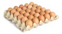Comprar Huevos Pastoril Maple X30u Eco Eggs