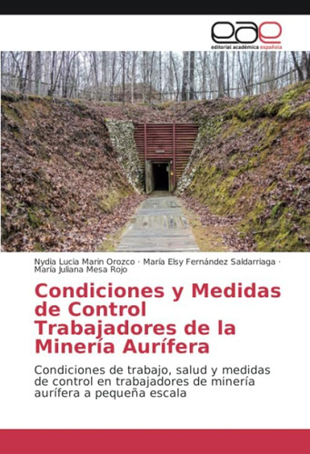 Libro: Condiciones Y Medidas De Control Trabajadores De La M