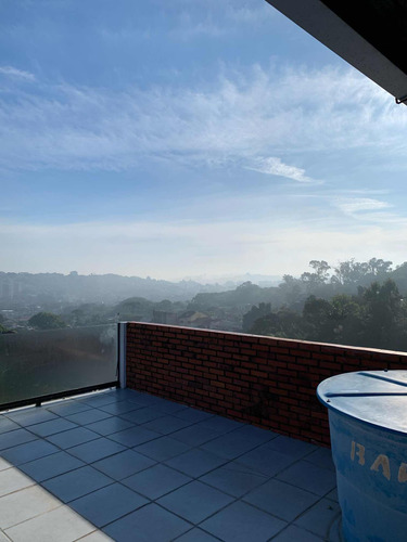Sobrado Zona Sul Com 2 Apartamentos, Terraço, Lareira,pomar