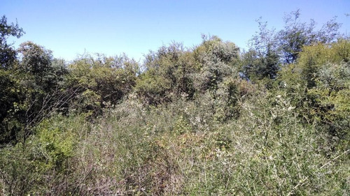 Imagen 10 de 19 de Terreno En Venta En San Marcos Sierras