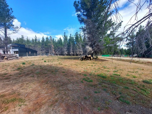 Imagen 5 de 12 de Terreno Lote En Venta Ubicado En Dina Huapi, Bariloche, Patagonia