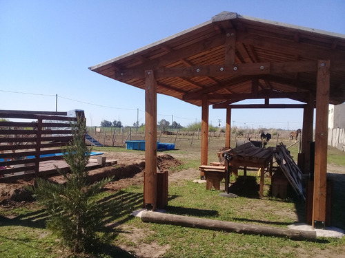 Vendo Lote Con Quincho Y Pileta. Oportunidad. Junin, Pcia De Bs As.