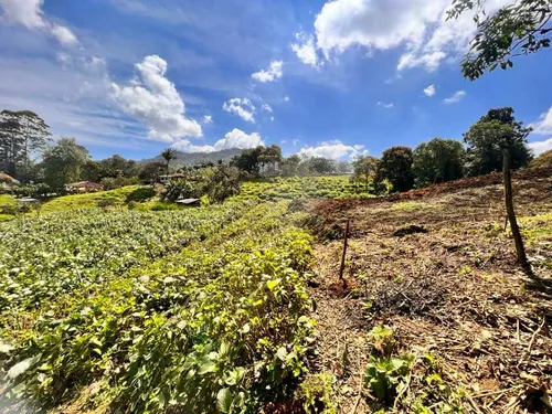 Lindo Lote En Venta Con Excelente Ubicación -vereda Cabeceras Rionegro