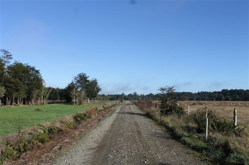 Imagen 8 de 30 de Agrícola En Venta En Puerto Varas