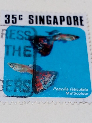 Estampilla Singapur 1033 A1