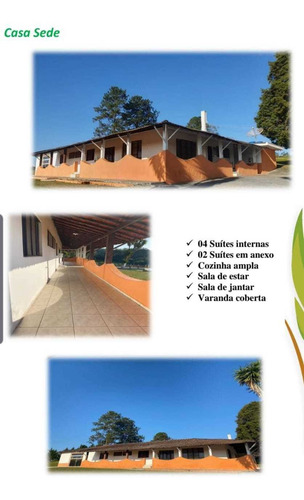 Para Você Investir