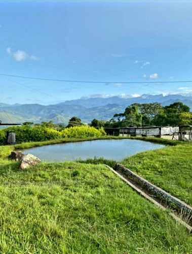 Imagen 3 de 5 de Finca La Esperanza, San Cristobal, Tachira. Plf-002