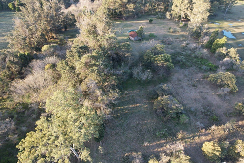 Imagen 5 de 7 de Campo En Venta 3,5 Has En Punta Indio