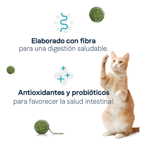Canidae Para Gato Goodness For Digestion Real Chicken 4.5kg