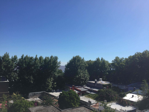 Imagen 11 de 13 de Apartamento En Alquiler - Monoambiente En Centro